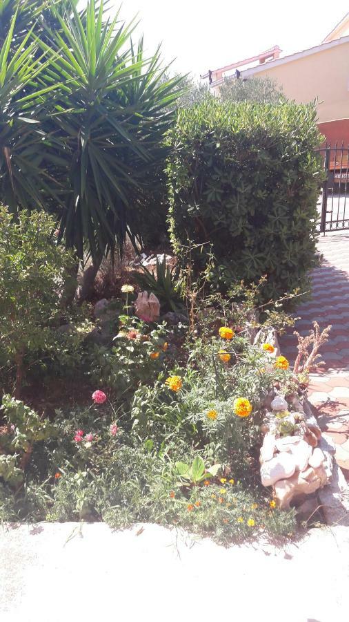 Apartmani Saric Rogoznica Зечево Екстер'єр фото